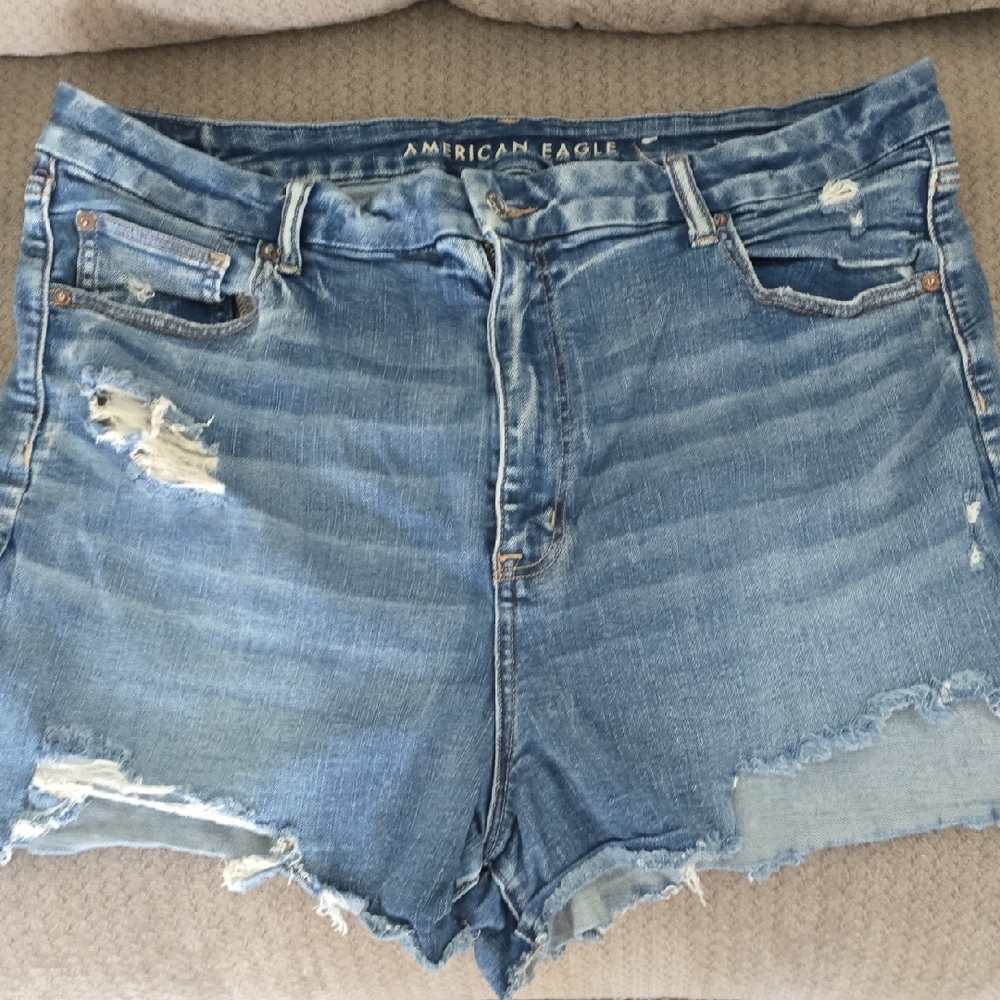 American Eagle Outfitters Blue Distressed Jean Shorts